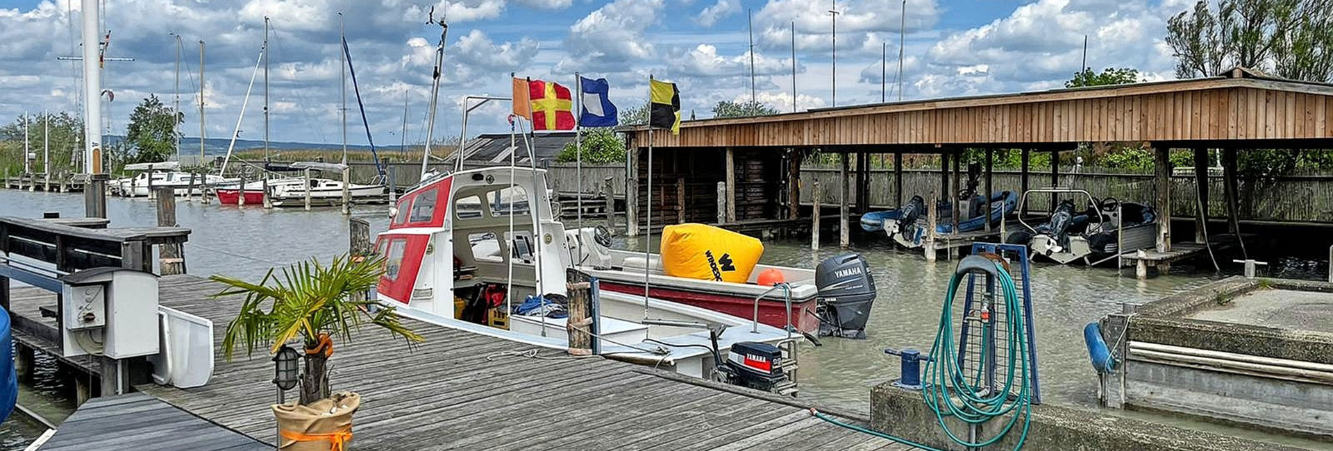 Regattakalender 2026